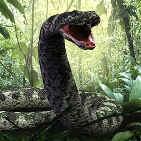 Titanoboa la Serpiente Prehistórica Más Grande del Mundo septiembre 2023