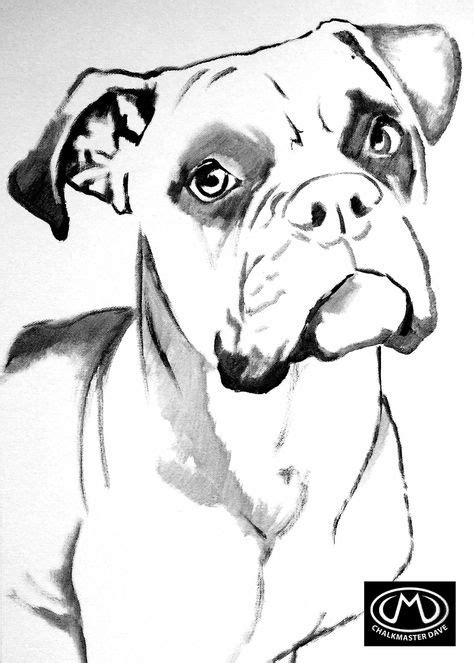 Boxer colouring page | Boxer dogs art, Animal drawings, Dog drawing