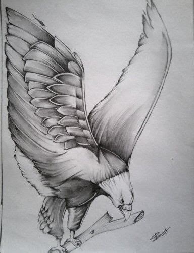 Pencil sketch-Eagle! | Charcoal paintings | Pencil drawings, Pencil sketch drawing, Eagle drawing