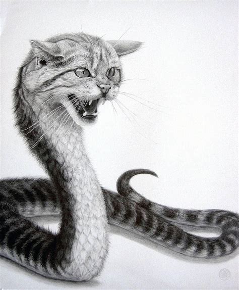 Catsnake - Graphite drawing by Katherine M. Patterson #INSPIRATION via @between.mirrors ...