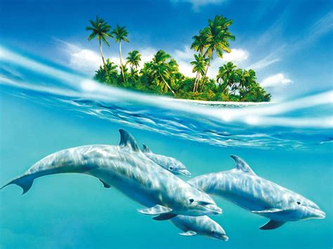 HD Dolphin Wallpapers - HD Animal Wallpapers