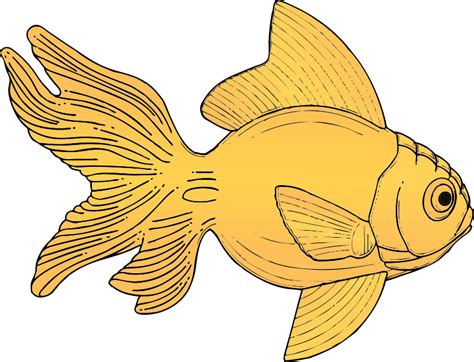 gold fish clip art - Clip Art Library