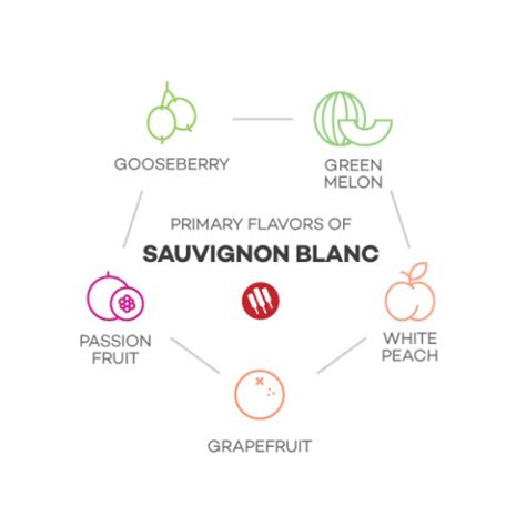 Comparing Chardonnay and Sauvignon Blanc | Wine Folly