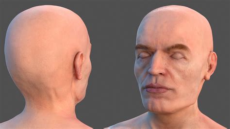 Male Skeleton Nervous System And Skin 3D Model $169 - .3ds .blend .c4d .fbx .max .ma .lxo .obj ...