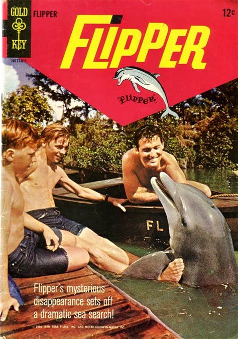 the flipper blog: June 2010 | Old tv shows, Childhood memories, Television show