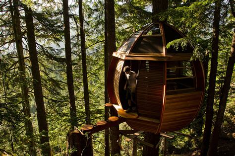 17 of the Most Amazing Treehouses From Around The World | Bored Panda