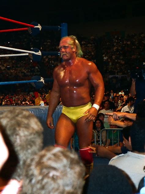 WWF HULK HOGAN | WWF HULK HOGAN | LeeVOneOne3 | Flickr