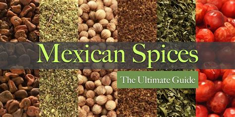 The Ultimate Guide to Mexican Spices - SpicesInc.com in 2021 | Mexican spices, Mexican food ...