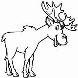 Moose Coloring Pages Elk Smiling  Free Printable sketch template