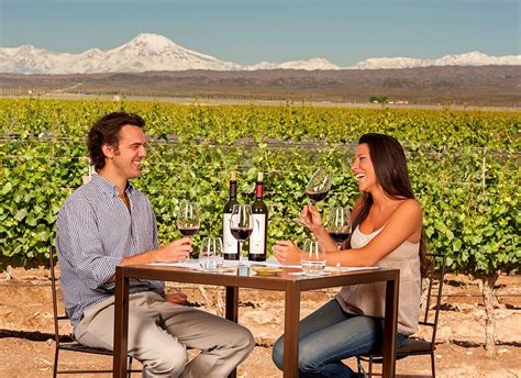 Las 10 mejores bodegas de Mendoza: una experiencia diferente