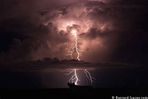 Superb Pictures of African Wild Animals at Night – Fubiz Media