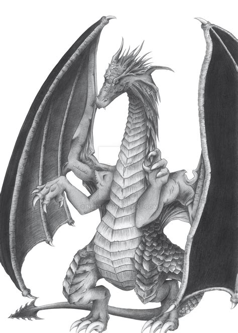 Black Dragon by Nelai on DeviantArt