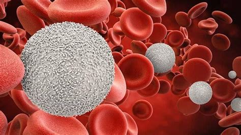 Blood Cancer Treatment, Types, Diagnosis — Dr. Pratik Patil | by Dr. Pratik Patil | Medium