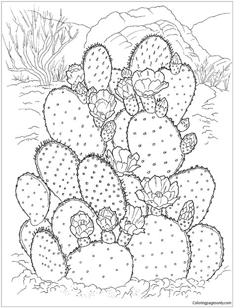 Prickly Pear Cactus Coloring Page - Free Printable Coloring Pages