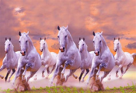 7 Horses Wallpaper Hd