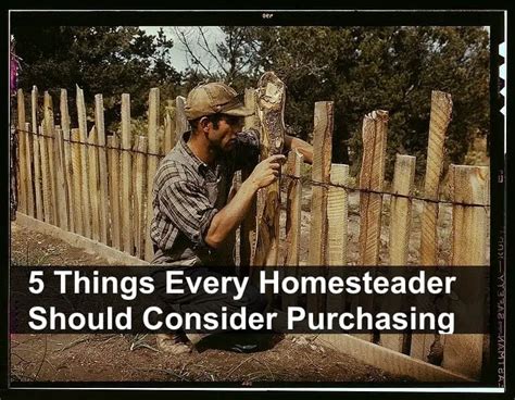 6 Things EVERY Homesteader Should Think About Buying