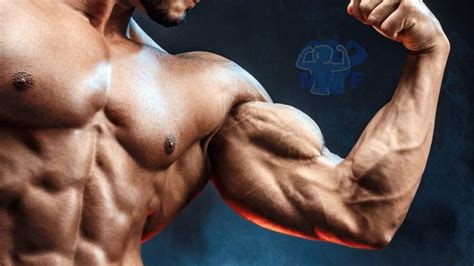 6 Best Biceps Exercises For Massive Bicep Growth and Strength