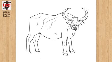 How to Draw a Buffalo Drawing Easy Outline | Step by Step Animal Sketch Tutorial for Beginners ...