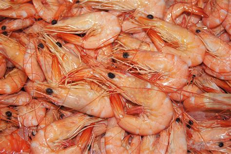 Aussie Large Cooked Banana Prawns $11.80 kg 5 kg buy - Seafood Warehouse