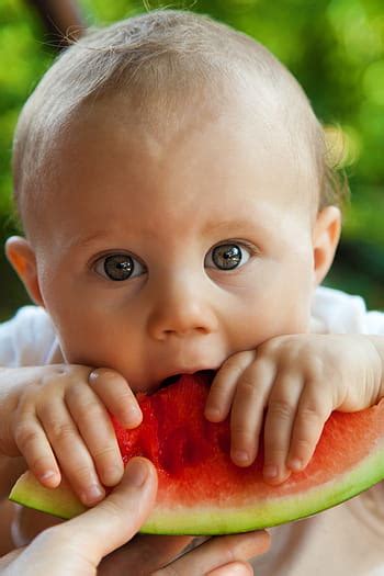 toddler, brushing, teeth, brushing teeth, tooth, bless you, dentist, attractive, mouth, smile ...