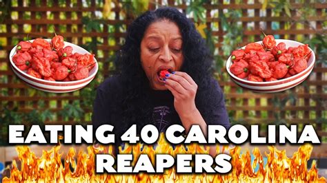 Eating 40 Carolina Reaper Peppers | World's Hottest Chilli | Extreme ...