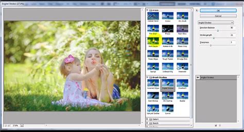 The Beginner's Guide to Using Photoshop CS - BP4U Photographer Resources