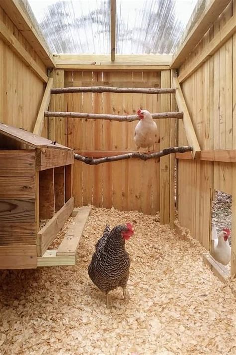 10 Free 8x8 Chicken Coop Plans You Can DIY This Weekend | Diy chicken coop, Chicken coop plans ...