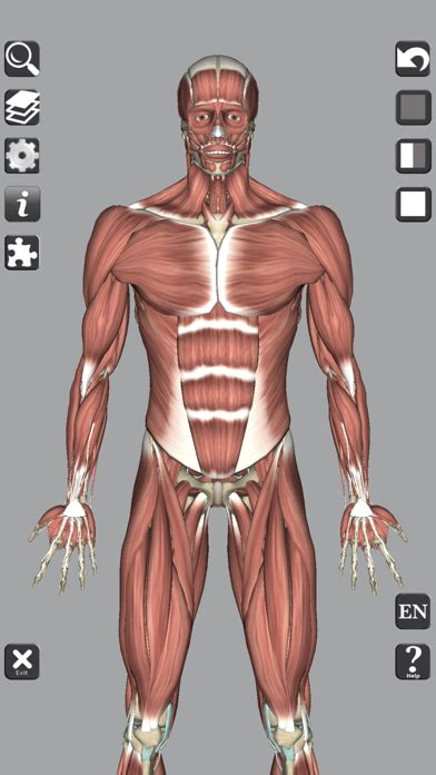 Télécharger 3D Anatomy Learning pour iPhone / iPad sur l'App Store ...