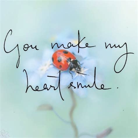 love my golden | Ladybug quotes, Lady bug tattoo, Ladybug art