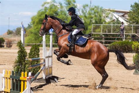 Dressage competitions editorial stock photo. Image of greece - 38159183