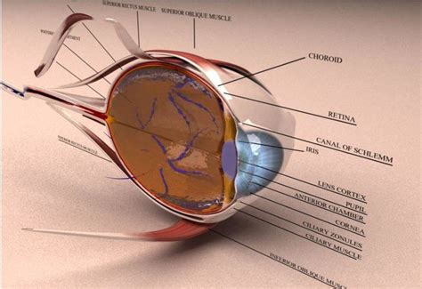 3d Eye Diagram