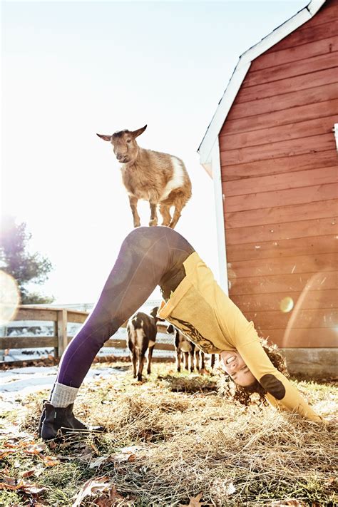 Maine Wellness - Goat Yoga at Smiling Hill Farm | Down East Magazine