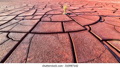 Weathered Red Brick Steps Stucco Backdrop Stock Photo 491609851 | Shutterstock