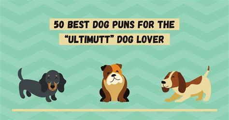 50 Best Dog Puns for the “Ultimutt” Dog Lover - I Love Veterinary