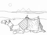 Free Printable Camel Coloring Pages For Kids sketch template