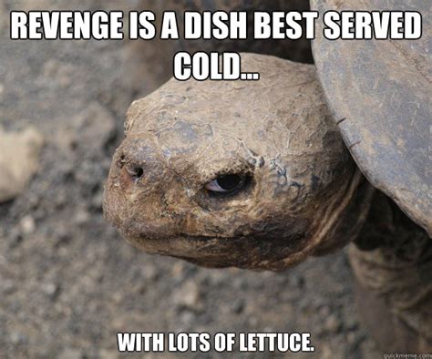 Revenge is a dish best served cold... with lots of lettuce. - Insanity Tortoise - quickmeme