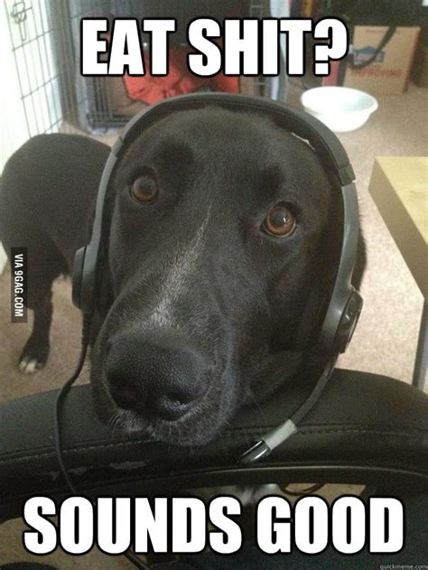 Gamer Dog brb - 9GAG