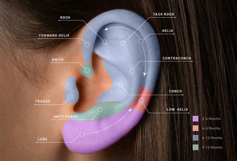 Ear Piercing Healing Chart: A Comprehensive Guide to Aftercare and Healing