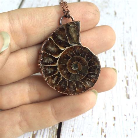 Ammonite fossil necklace | Fossil men's jewelry – HAWKHOUSE