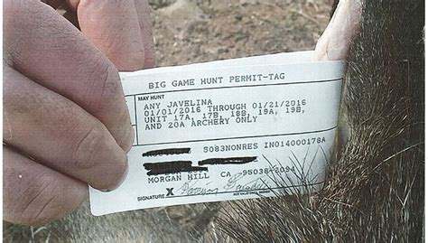 Practice proper tagging of Arizona’s big game animals | Kingman Daily ...