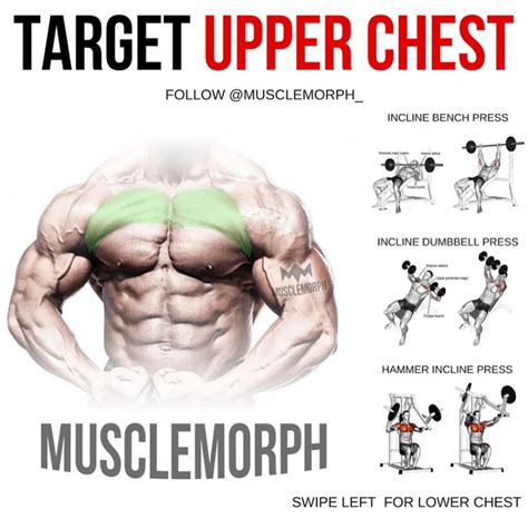 3,946 Likes, 5 Comments - MuscleMorph® Supps (@musclemorph_) on ...