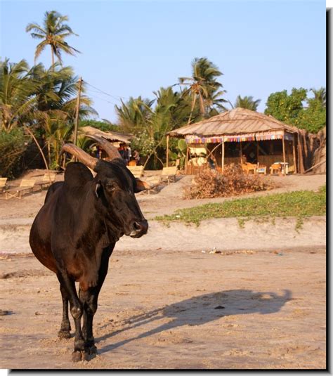 Gambia Beaches - Photos