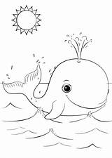 59 Whale Coloring Pages  ColoringPagesOnlycom sketch template