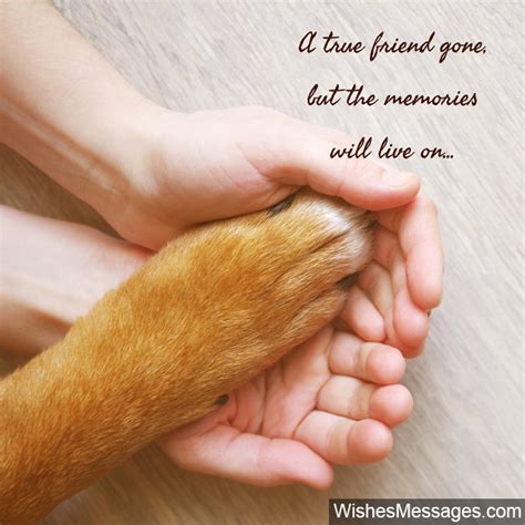 Sympathy Messages for Pets: Condolence Quotes for Dogs, Cats and more ...