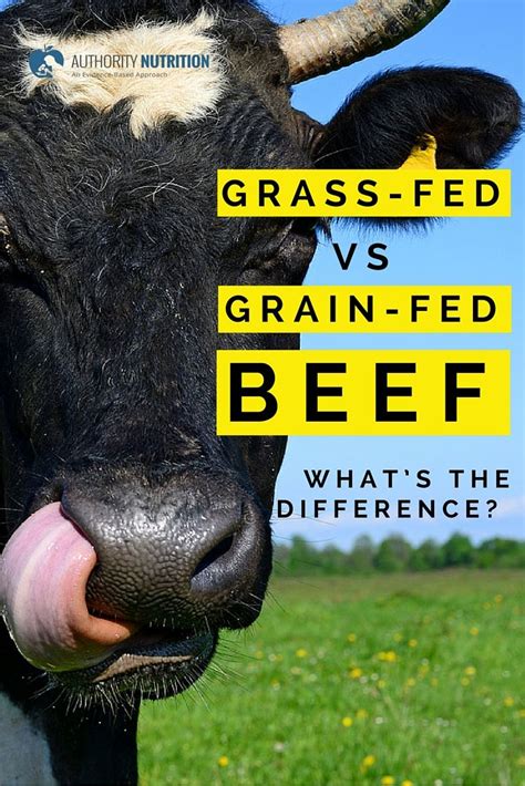 The foods that a cow eats can have a major effect on its nutrient composition and beef from ...