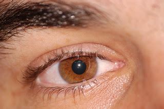 Eye | The eye of a friend | Jean-Simon Asselin | Flickr