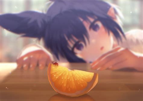 Orange slice of fruit illustration, original characters, anime girls ...