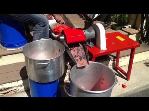 Processing tomatoes - removing water from tomatoes - canning tomato sauce - YouTube