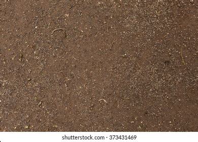 665,368 Outdoor Floor Texture Images, Stock Photos, 3D objects, & Vectors | Shutterstock