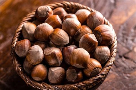 Hạt Phỉ Là Gì? Công Dụng Của Hazelnut ? Mua Ở Đâu?